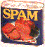 imgCannedSpam.gif (3568 bytes)